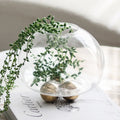 مزهرية زجاجية كروية ذهبية هندسية من DecorBites™ لترتيبات الزهور وديكور المنزل