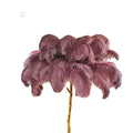DecorBites™ Elegant Ostrich Feather Floor Lamp for Home Decor & Lighting