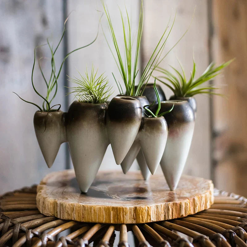 DecorBites™ Abstract Tooth Ceramic Flower Pot Hanging Vase for Artistic Home Decor