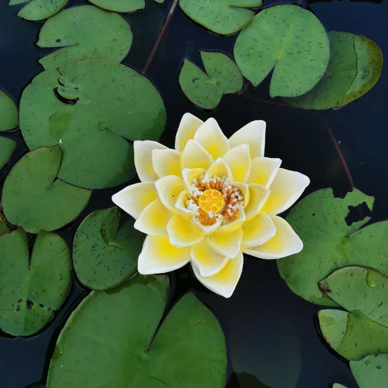 DecorBites™ Garden Water Floating Animal Statue Crafts for Outdoor Decor and Pond Decoration