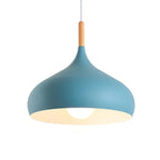 Nordic Stainless Steel Creative Pendant Light