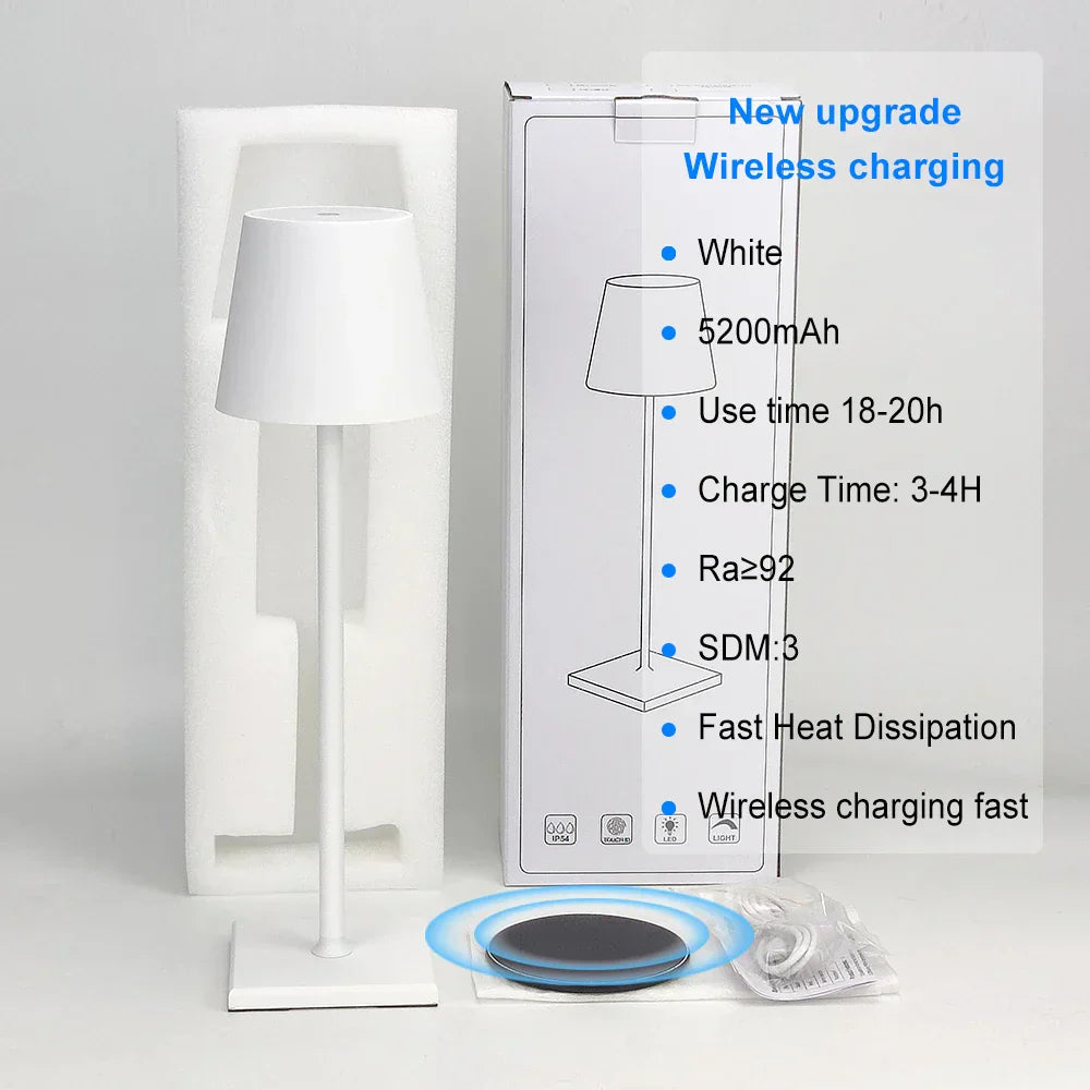 DecorBites™ 2023 Plodina USB Rechargeable Acrylic Table Lamp