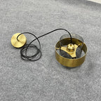 Modern Glass Pendant Light With Brass Finish