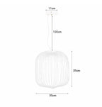 Spokes Birdcage Pendant Light in Polished Chrome