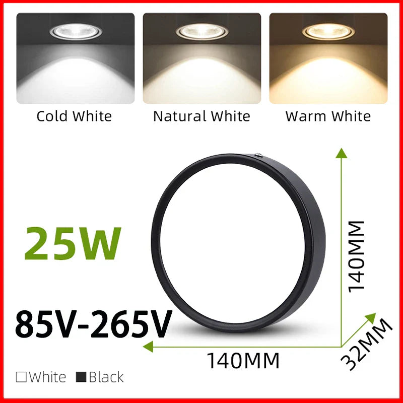 DecorBites™ LED Ceiling Lamp 220V Indoor Lighting Fixture for Kitchen Room & Platform