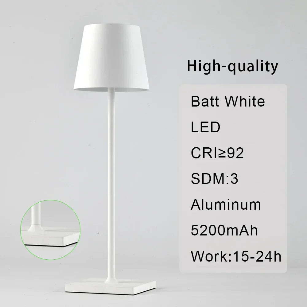 DecorBites™ 2023 Plodina USB Rechargeable Acrylic Table Lamp