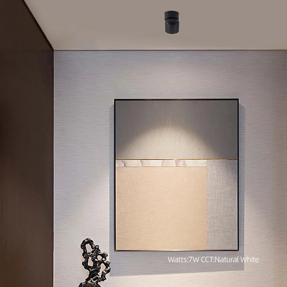 DecorBites™ Adjustable Angle LED Downlight 7W/9W CRI97 Dimmable for Indoor Lighting