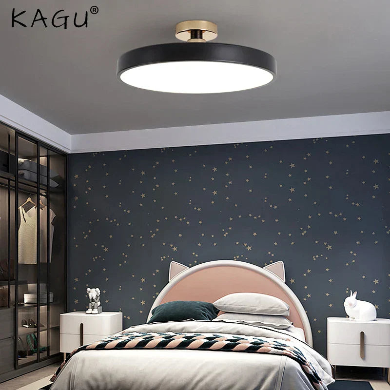 DecorBites™ LED Ceiling Lamp for Living Room Study Child Bedroom Indoor Lighting