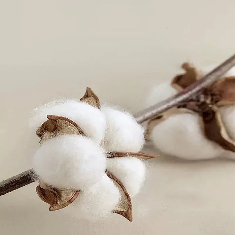 بطانية صيفية مبردة بطبعات كرتونية للأطفال من DecorBites™ - لحاف خفيف الوزن وناعم