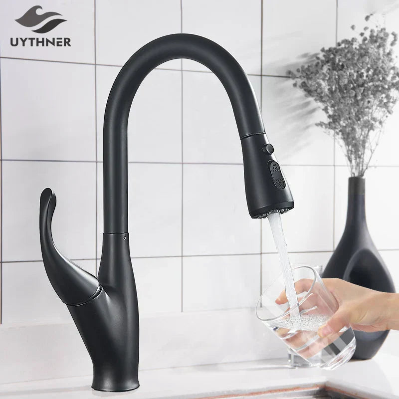 صنبور مطبخ DecorBites™: خلاط كروم/أسود قابل للسحب بفوهة بوظيفتين