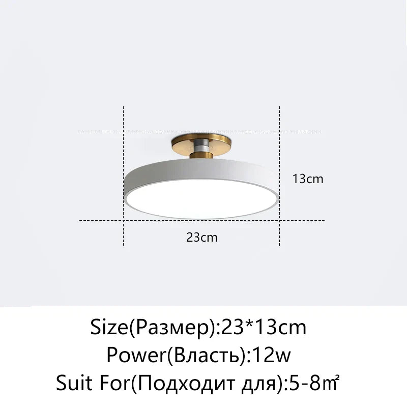 DecorBites™ LED Ceiling Lamp for Living Room Study Child Bedroom Indoor Lighting