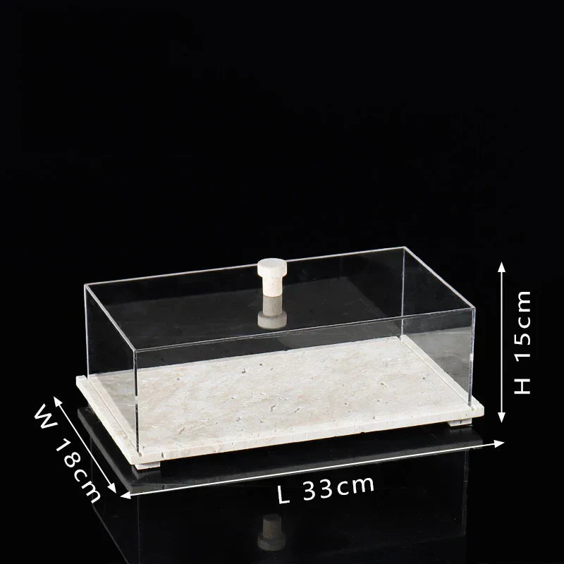 Acrylic Display Case on Travertine Base by DecorBites™ for Collectibles, Figurines, Desserts