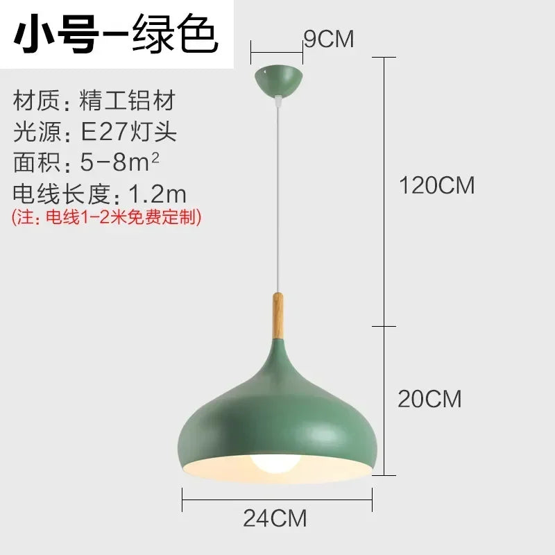 Nordic Stainless Steel Creative Pendant Light