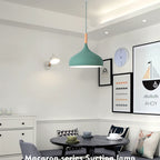 Modern Macaron Aluminum Pendant Light With Wood Accent