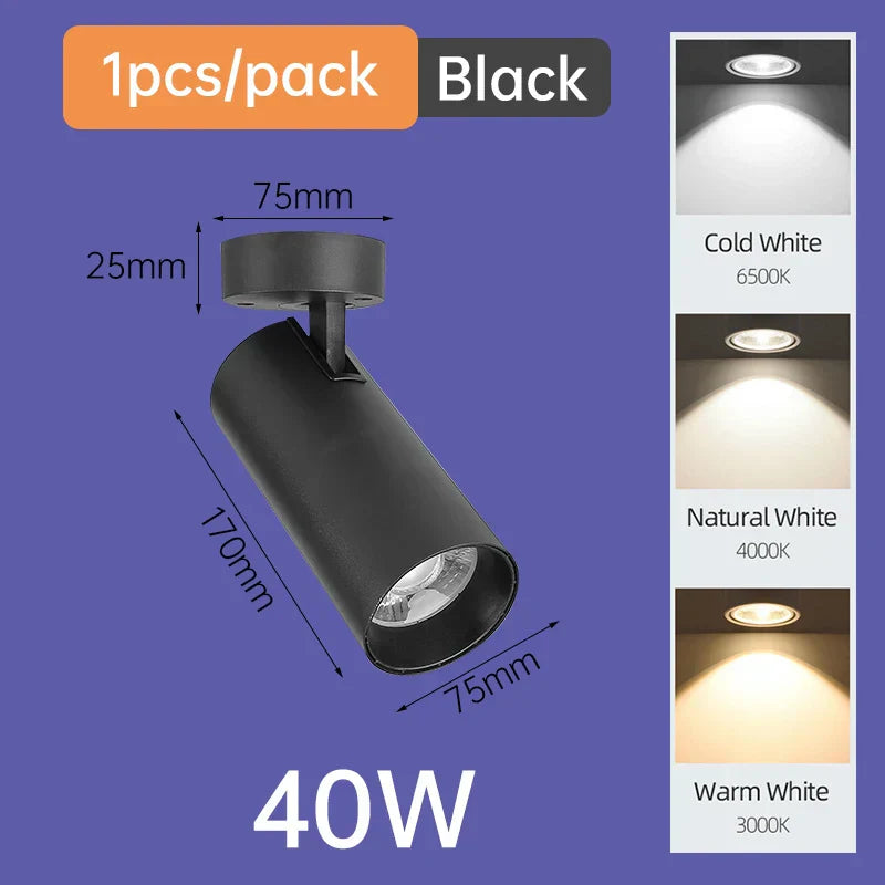 DecorBites™ LED Ceiling Lamp 220V Indoor Lighting Fixture for Kitchen Room & Platform