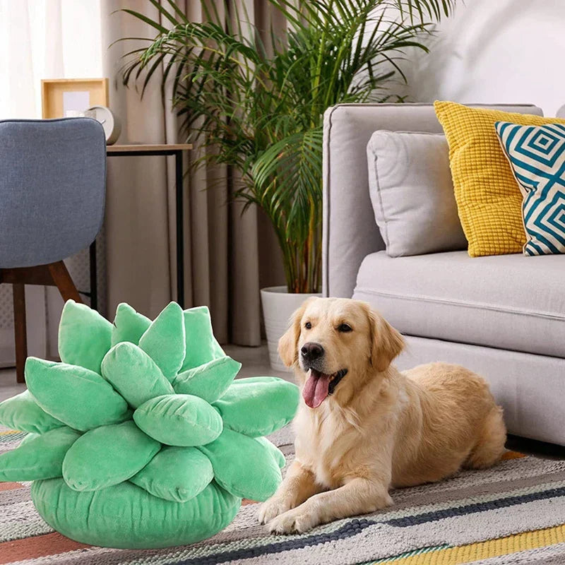DecorBites™ 3D Succulent Cactus Pillow Plush Cushion for Living Room Decor