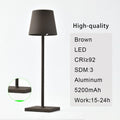 DecorBites™ 2023 Plodina USB Rechargeable Acrylic Table Lamp