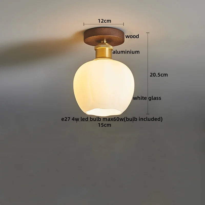 DecorBites™ LED Ceiling Light Modern Style Indoor Lighting Aluminum Glass Nordic Lamp