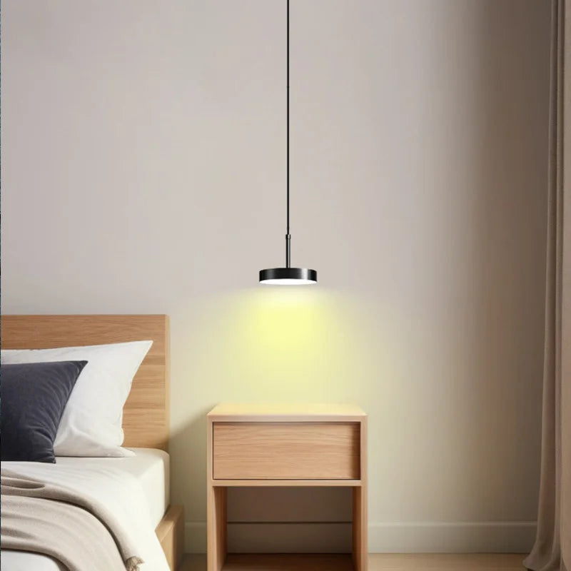 Nordic Minimalist Black Brass Pendant Light