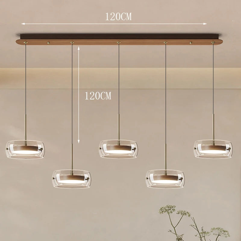Modern Glass Ring Pendant Light in Iron