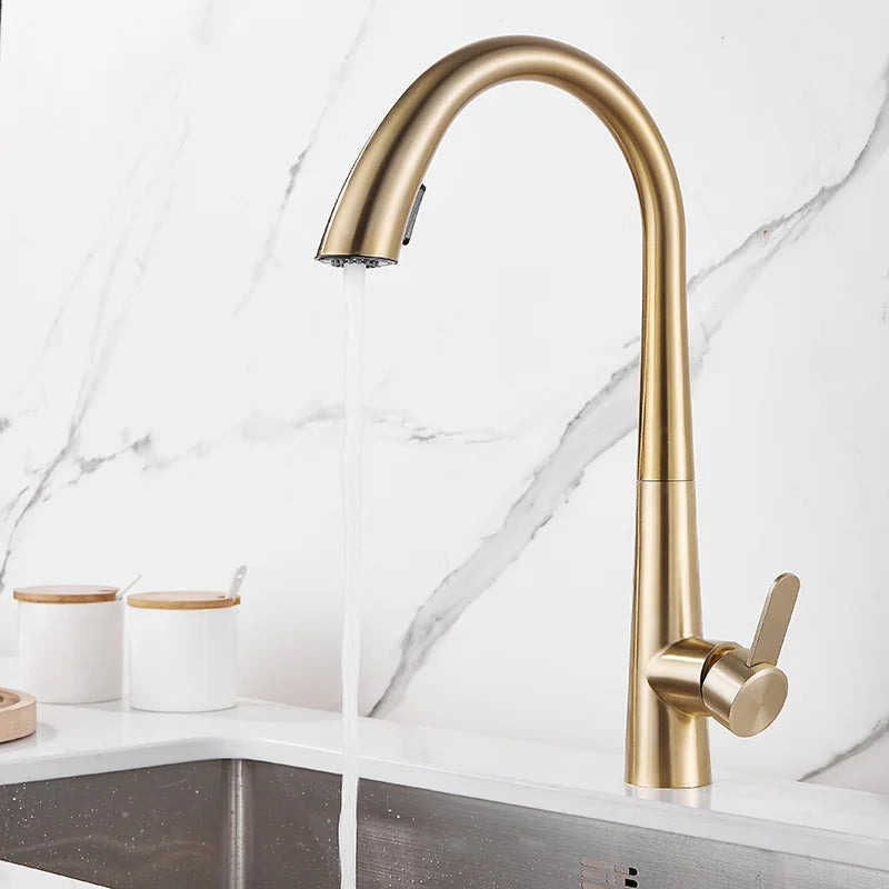 DecorBites™ Black Brushed Gold Kitchen Faucet with Pull Out Spring Spout