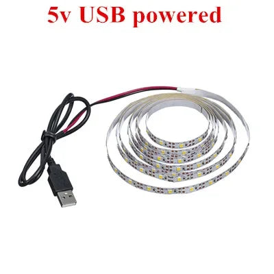 DecorBites™ 2835 DC LED Light Strip USB 5V Flexible 50CM - 5M White/Warm TV Background Night Light