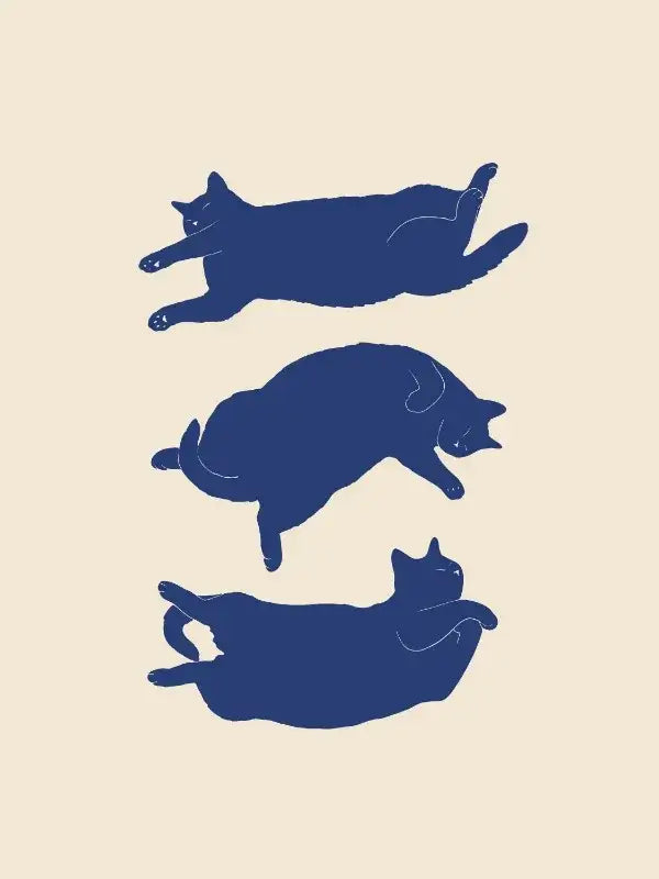Abstract Cat Canvas Wall Art