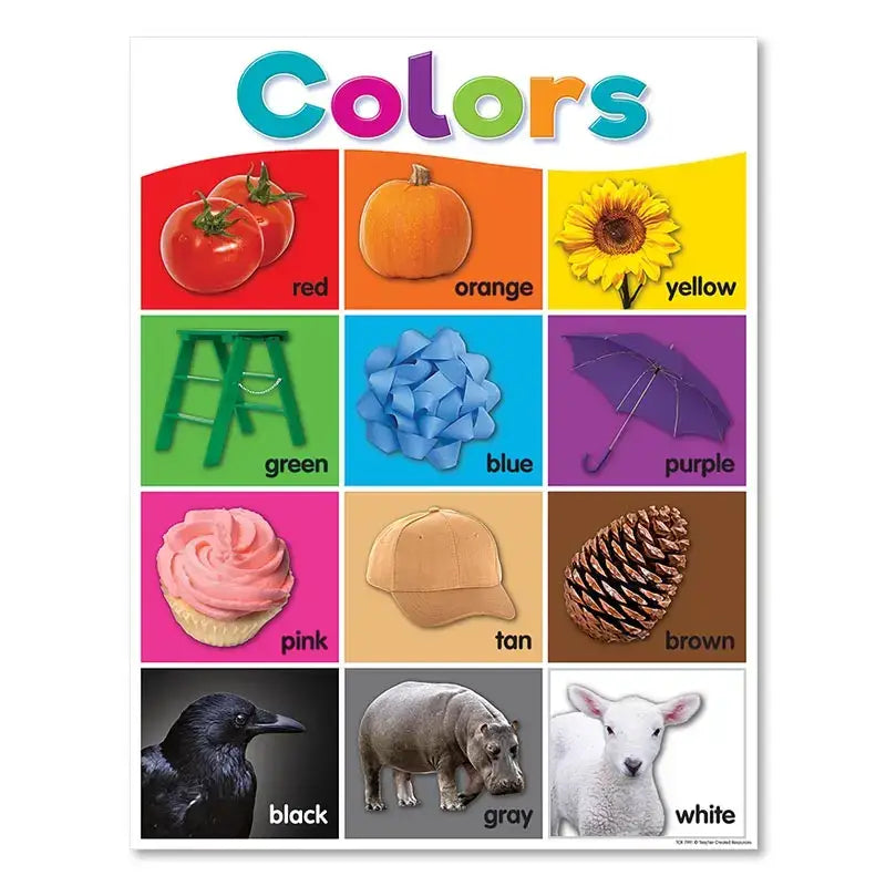 Alphabet Educational Poster Kids Math English