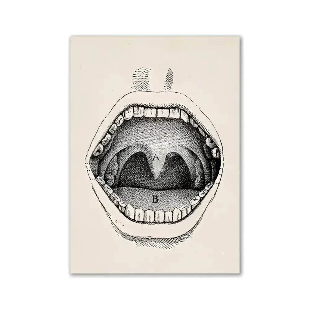 Decorbites™ anatomy art print vintage medical science illustration of open human mouth with labeled tongue and throat structures