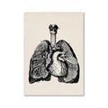 Decorbites™ anatomy art print vintage medical science black and white lungs and heart on cream canvas