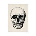 Detailed black ink vintage human anatomy art print of a skull on off-white textured paper by decorbites