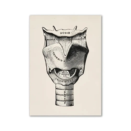 Anatomy art print of human larynx in black ink on beige textured paper for vintage medical wall decor by DecorBites