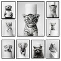 Black and white framed bathroom wall art featuring a cute animal canvas of a tiger cub with toilet paper on its head