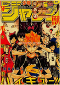 Anime Poster Prints Large