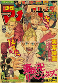 Anime Posters Collection Large