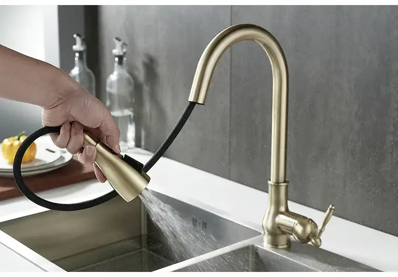 Antique Bronze Kitchen Faucet Pull Out