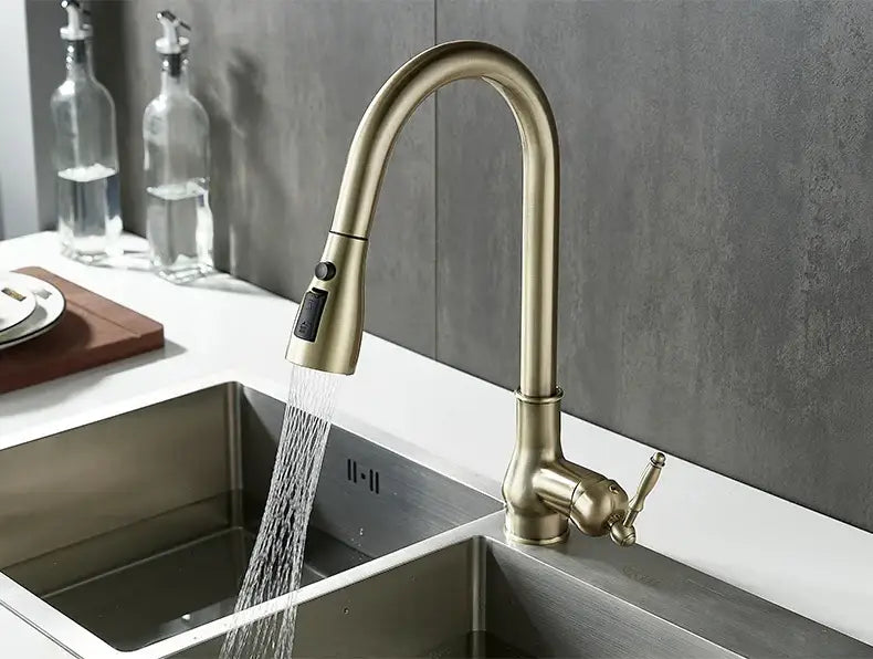 Antique Bronze Kitchen Faucet Pull Out