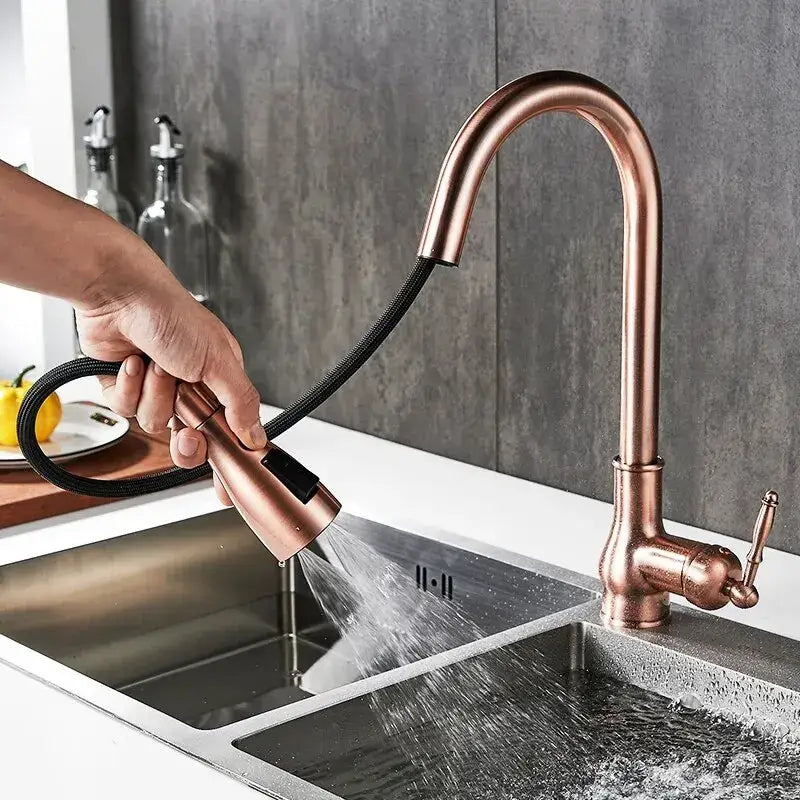Antique Bronze Kitchen Faucet Pull Out