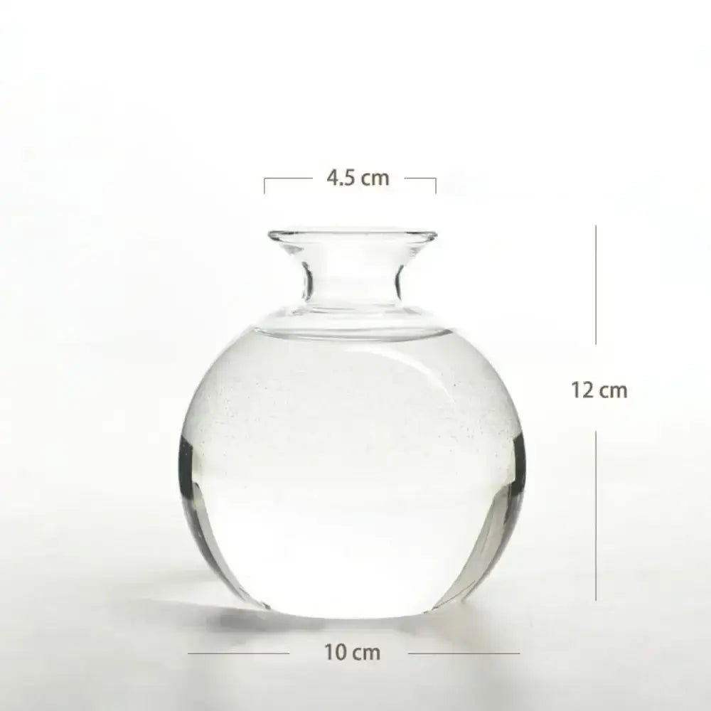 Avocado Seed Starter Hydroponic Vase