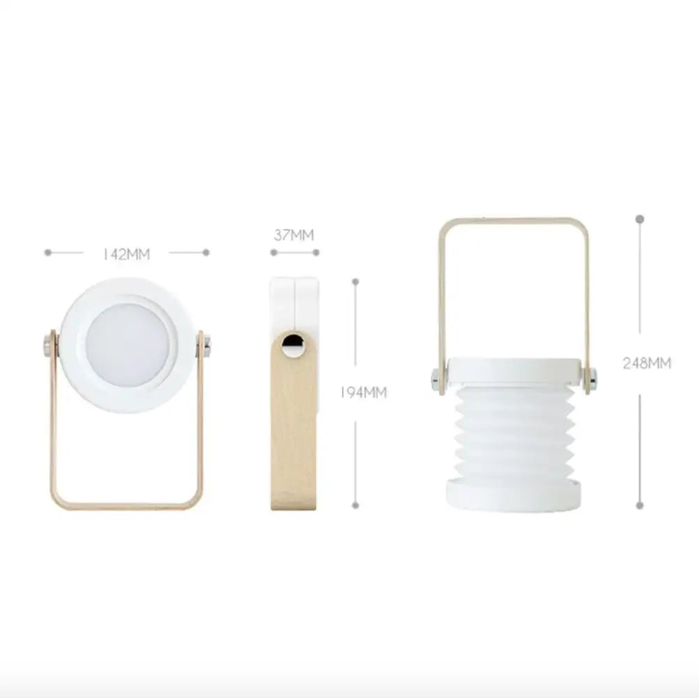 Battery-Operated Wall Sconce Lantern