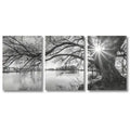 Big Tree Sunset Canvas Posters