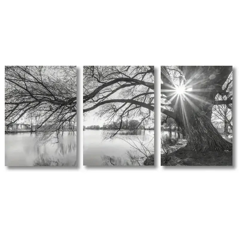 Big Tree Sunset Canvas Posters