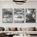 Decorbites stunning big tree lake sunset canvas posters featuring black and white tree lake branches over water