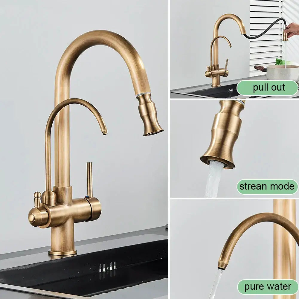 Brass filter kitchen faucet with rotatable spout and pull down sprayer