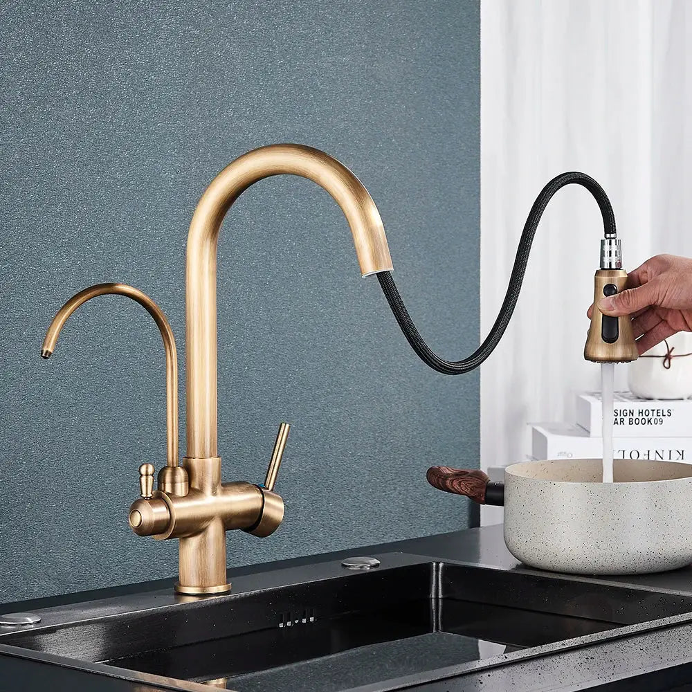 Brass filter kitchen faucet with rotatable spout and pull down sprayer