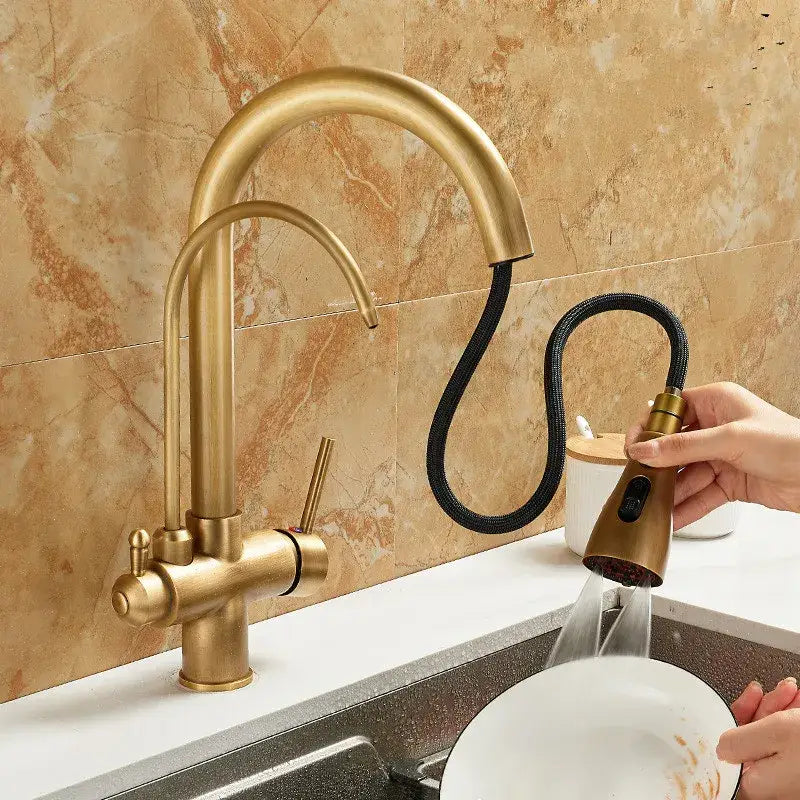 Brass kitchen faucet with pull down black hose and water filter tap