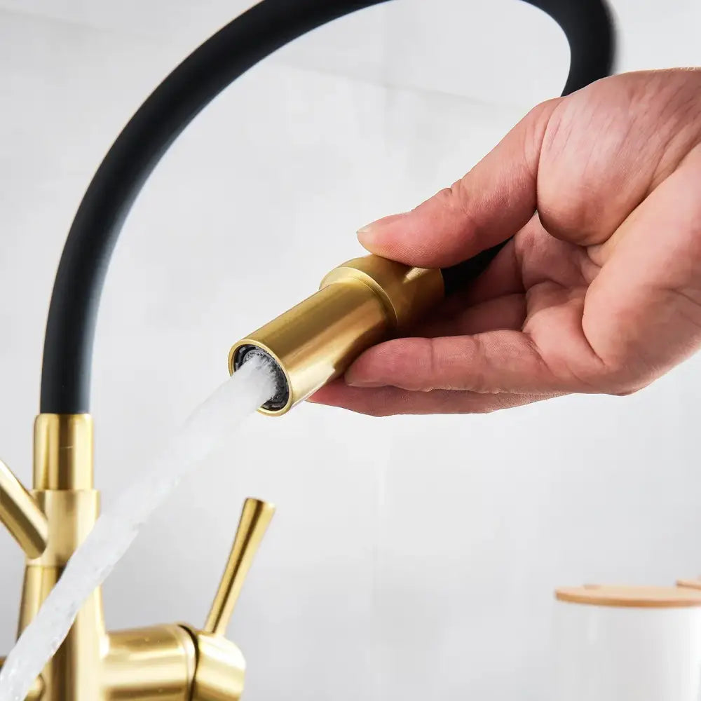 Brushed gold and black kitchen faucet with dual handles and filter