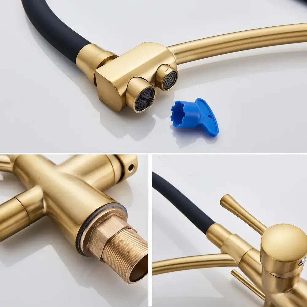 Brushed gold and black kitchen faucet with dual handles and filter