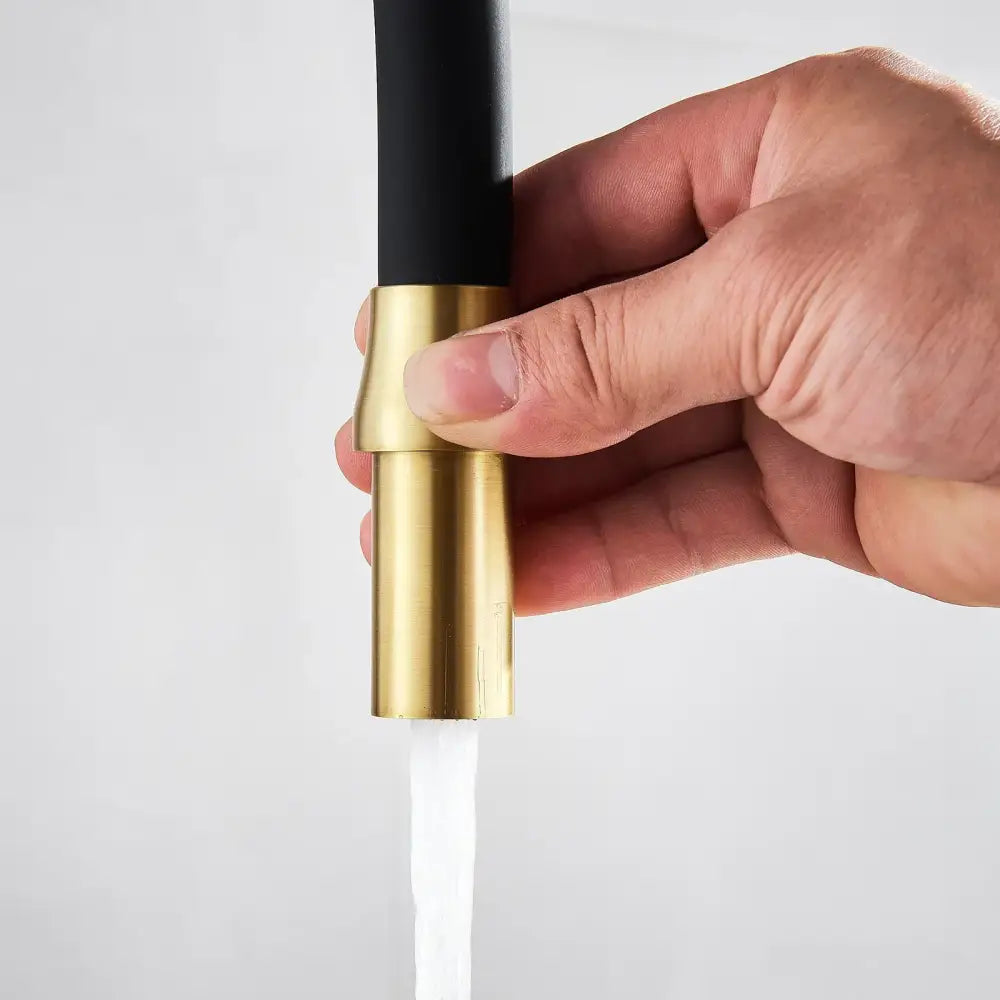 Brushed gold and black kitchen faucet with dual handles and filter