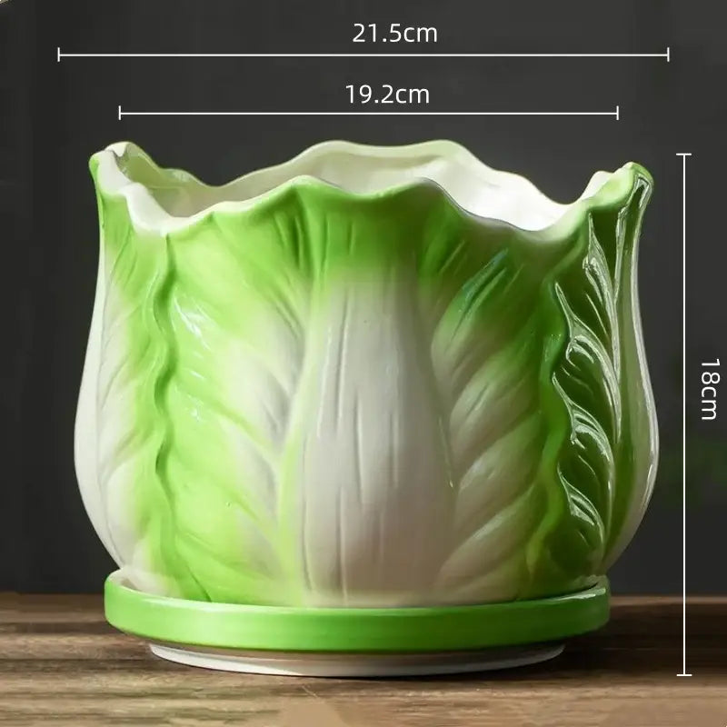 Creative green & white ceramic cabbage flowerpot – indoor garden basin